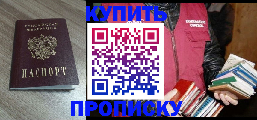 прописка 2025 в Кашине