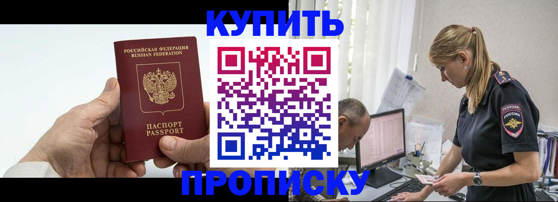 прописка поиск в Кашине